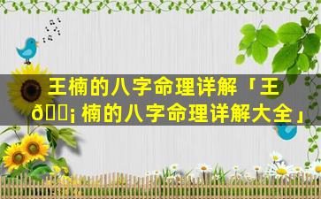 王楠的八字命理详解「王 🐡 楠的八字命理详解大全」